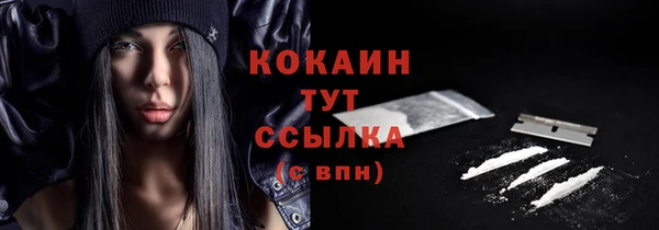 мдпв Осинники