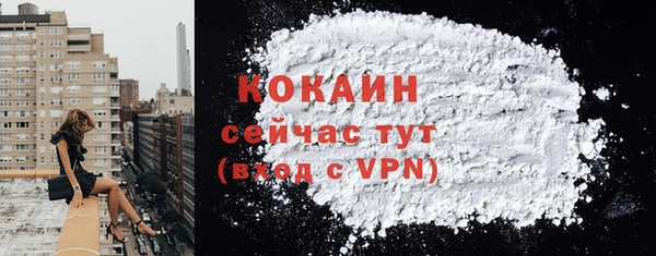 мдпв Осинники