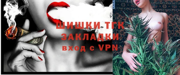 мдпв Осинники