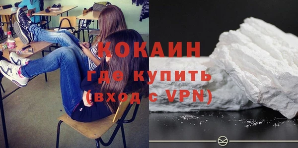 мдпв Осинники