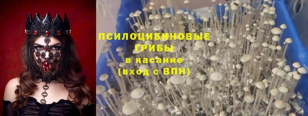 ГАЛЛЮЦИНОГЕННЫЕ ГРИБЫ Заполярный