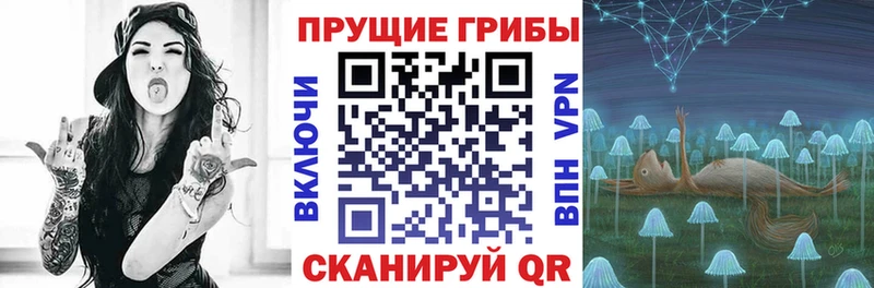 Псилоцибиновые грибы GOLDEN TEACHER  Петров Вал 
